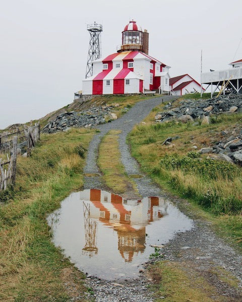 Cape Bonavista